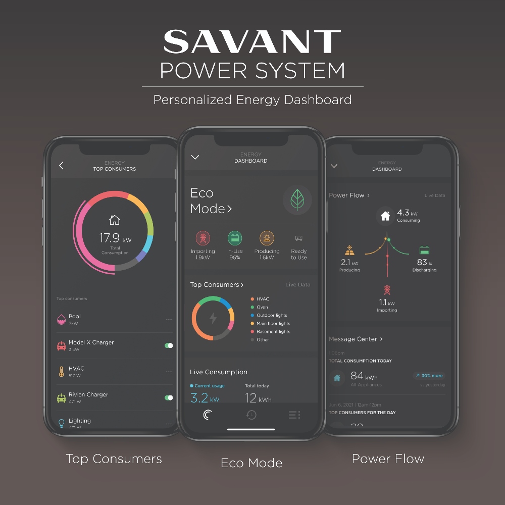 Savant power